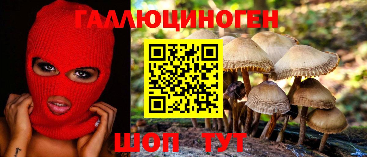 Псилоцибиновые грибы Cubensis  Вход с VPN  Протвино  Галлюциногенные грибы ЛСД 