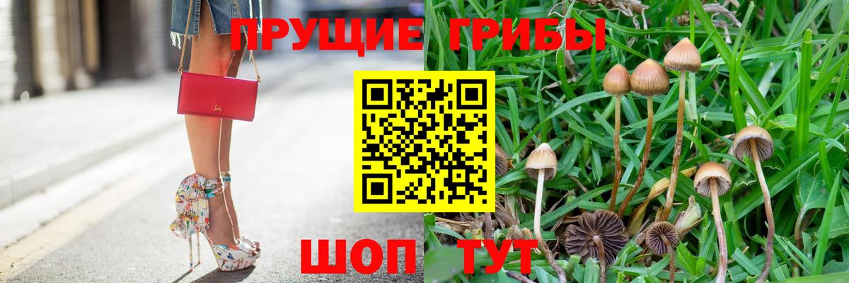 Галлюциногенные грибы MAGIC MUSHROOMS Протвино